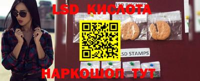 крисы Кимры