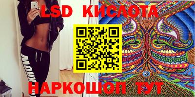 дживик Кингисепп