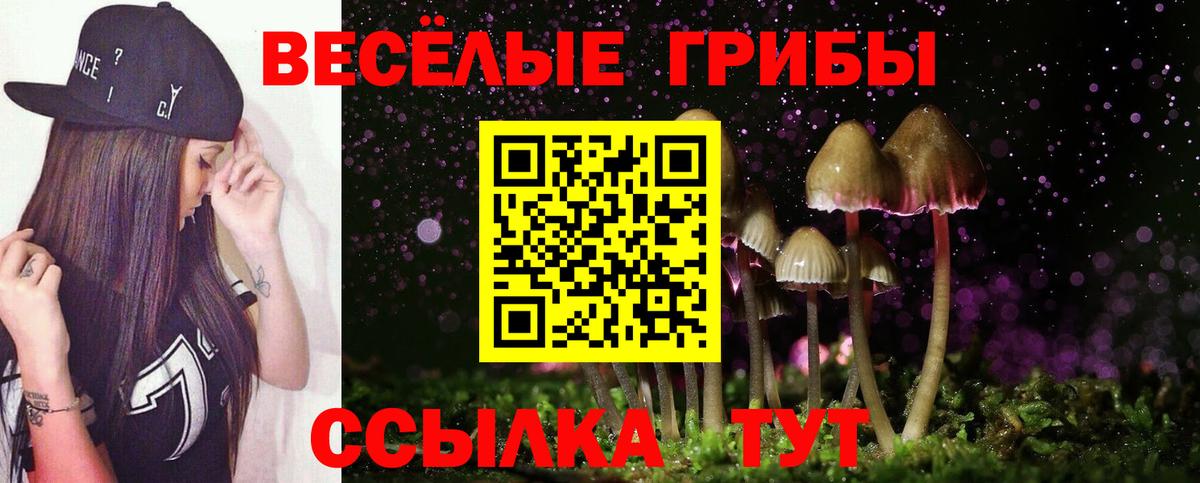 Псилоцибиновые грибы Psilocybine cubensis  где купить наркоту  Кострома  Вход с VPN  Псилоцибиновые грибы Psilocybe 